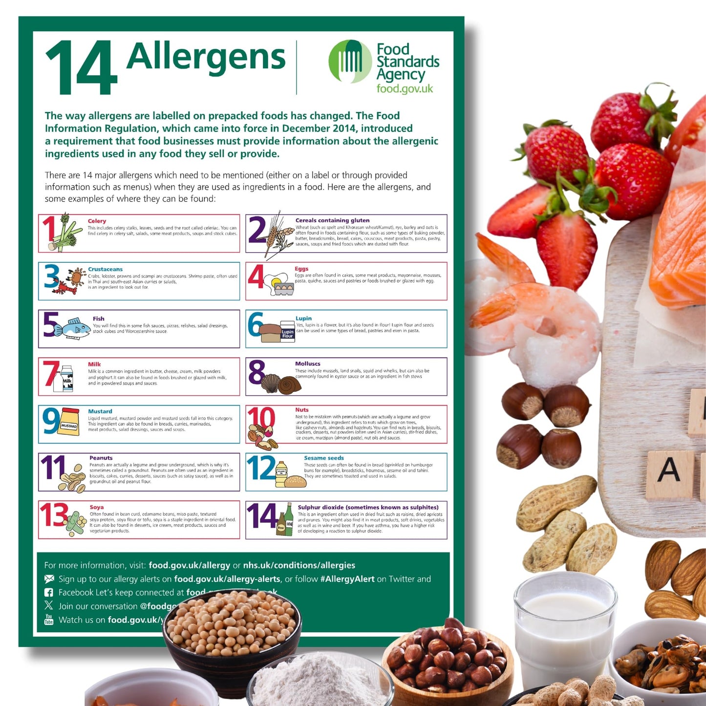 Food Allergens Poster Sign A4 - 297mm x 210mm, 1pc or 2pc